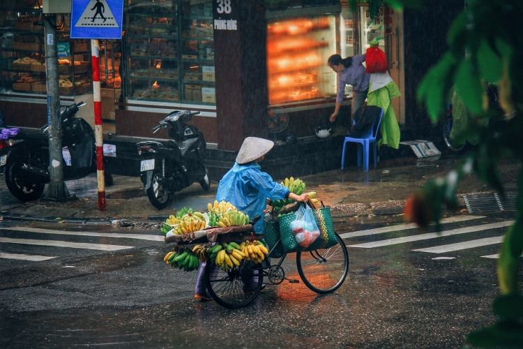 ha noi nhip song ngay mua bao