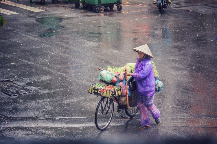 ha noi nhip song ngay mua bao