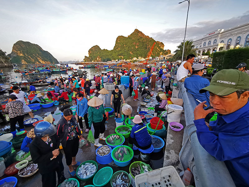 Rác nilon dập dềnh mặt biển, người Việt nhìn nhau đỏ mặt ở vịnh Hạ Long Rác nilon dập dềnh mặt biển, người Việt nhìn nhau đỏ mặt ở vịnh Hạ Long