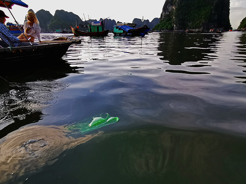 Rác nilon dập dềnh mặt biển, người Việt nhìn nhau đỏ mặt ở vịnh Hạ Long