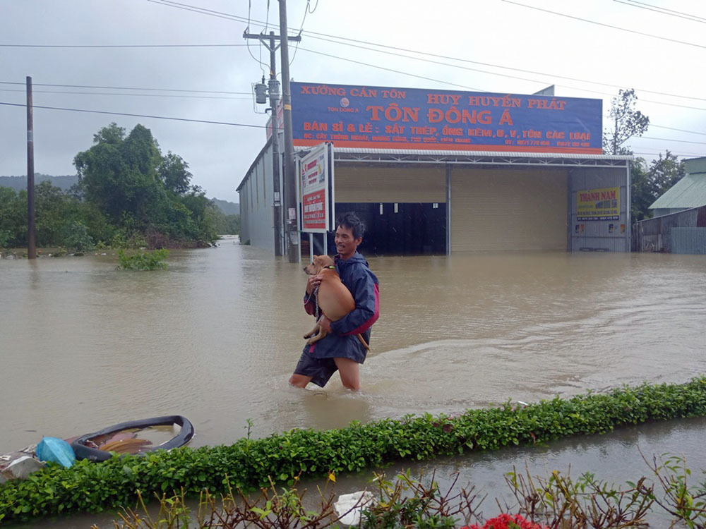 Phú Quốc ngập lịch sử, nghìn người vật lộn trong 