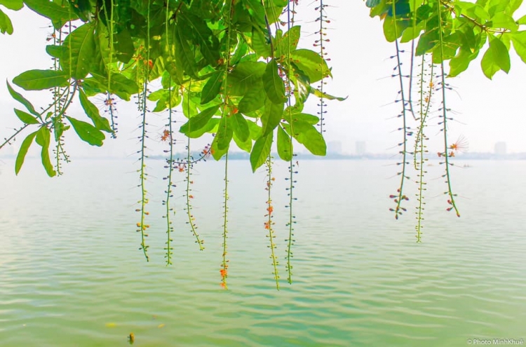 Đúng rằm, nắng nóng dịu dần ở Bắc bộ, khả năng có mưa lớn về đêm Đúng rằm, nắng nóng dịu dần ở Bắc bộ, khả năng có mưa lớn về đêm