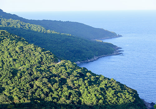 Phó Chủ tịch Đà Nẵng gửi thư chia buồn gia đình thợ câu cứu người