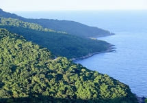 Phó Chủ tịch Đà Nẵng gửi thư chia buồn gia đình thợ câu cứu người