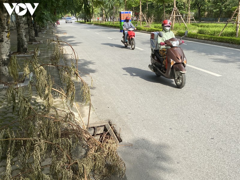 ha noi: hang loat ong cong, ho ga mat nap, &amp;quot;bay&amp;quot; nguoi dan tai pho tan my hinh 1