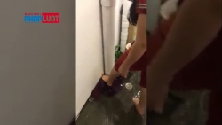 mua lon dan chung cu toat mo hoi tat nuoc