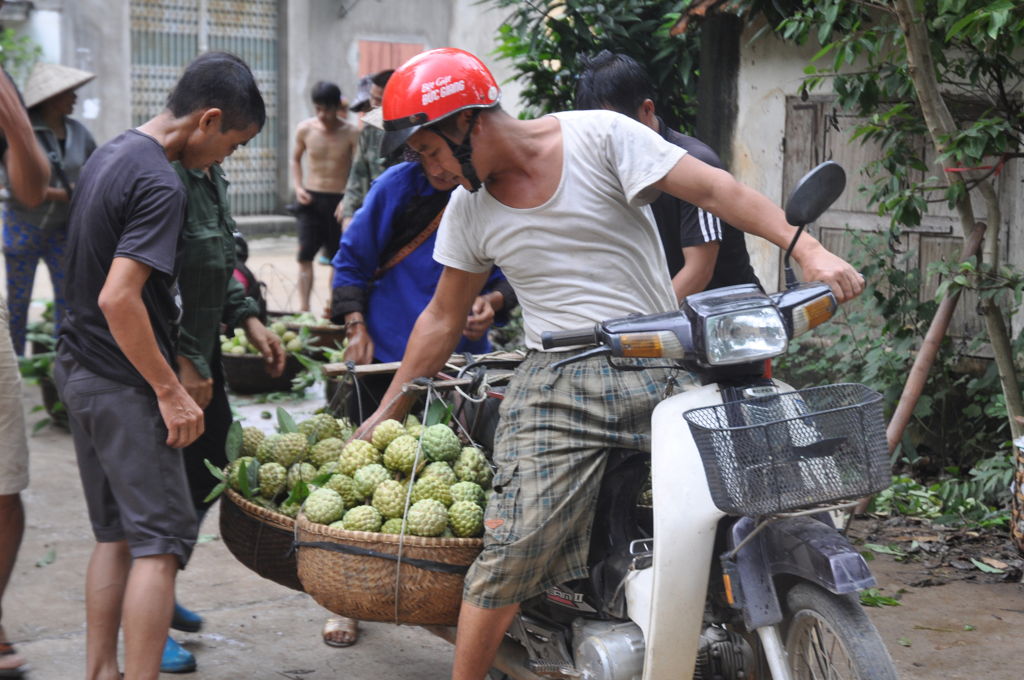 Lạng Sơn: Nhộn nhịp ở chợ Na lớn nhất nước - Ảnh 5.