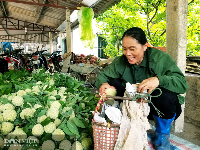 Lạng Sơn: Nhộn nhịp ở chợ Na lớn nhất nước - Ảnh 6.