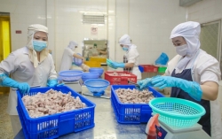 DN vừa và nhỏ mong muốn người lao động tiêm một mũi vắc xin được đi làm