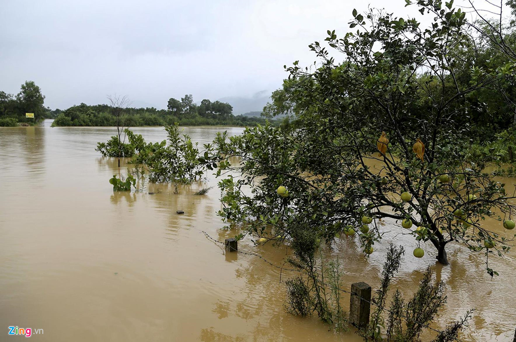 nguoi dan om lon lai may cay chay lu