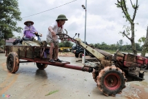 Người dân ôm lợn, lái máy cày 