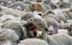 Nhận biết kẻ tiểu nhân quanh mình: Một xem chữ LỢI, hai nhìn chữ KHÓ, ắt sẽ biết kẻ nào không thể đặt niềm tin