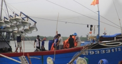 Nhiều tỉnh miền Trung “cấm biển”, cho học sinh nghỉ học tránh bão