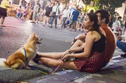 Hà Nội: Phải mặc lịch sự, không nói tục tĩu, dắt vật nuôi ở phố đi bộ hồ Hoàn Kiếm