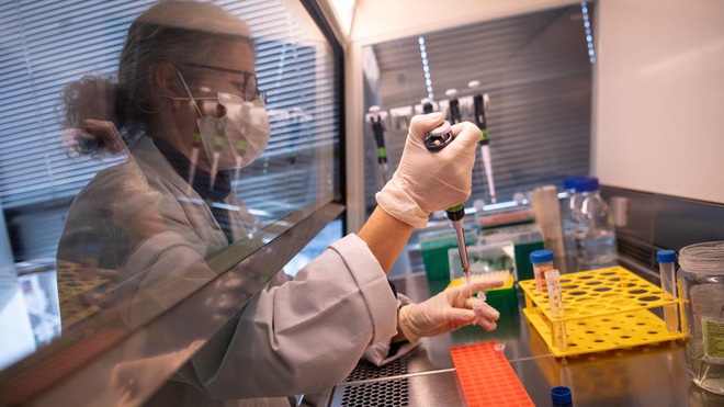 Hợp tác thử nghiệm giai đoạn 3 thuốc XAV-19 điều trị Covid-19 tại Việt Nam