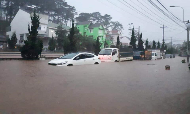 da lat phu quoc chim trong bien nuoc nha dau tu qua tham lam