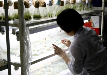 Đặc cách cho nhà khoa học xuất sắc