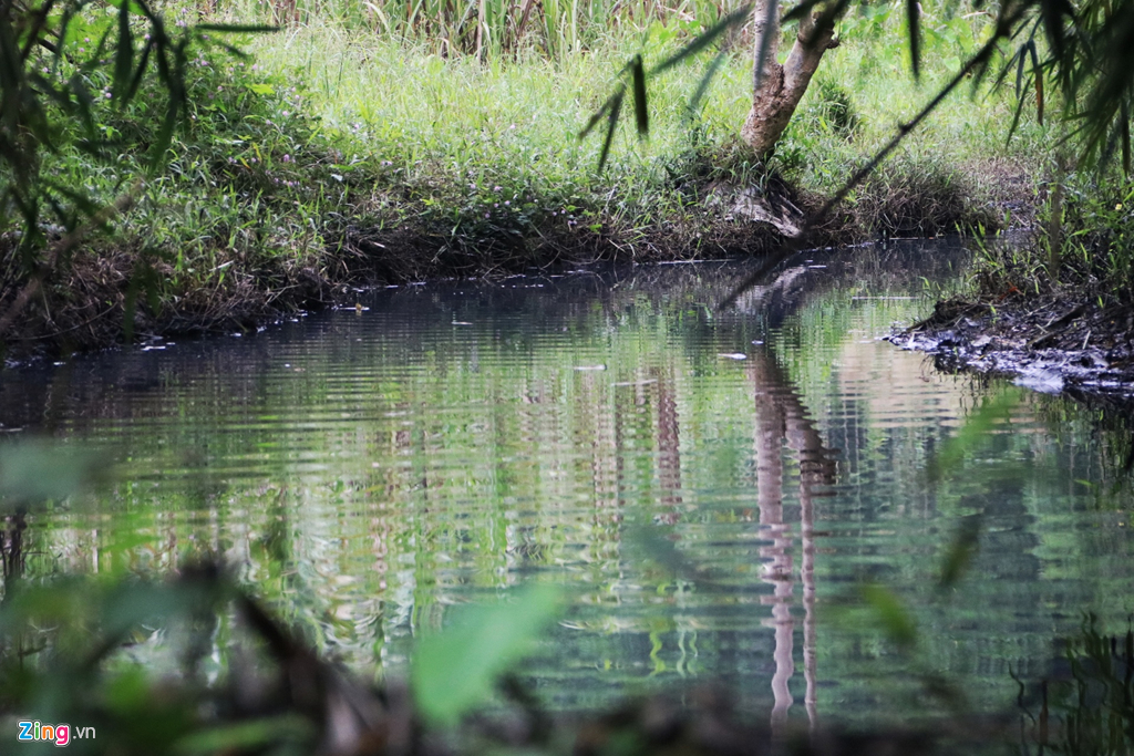 dong suoi gan nha may nuoc song da van den kit sau 1 tuan bi do dau