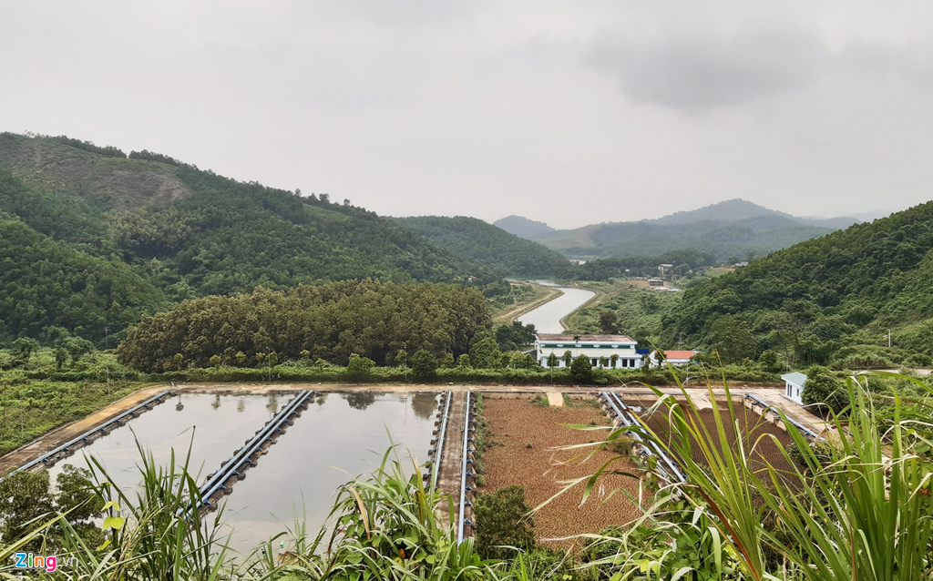 dong suoi gan nha may nuoc song da van den kit sau 1 tuan bi do dau