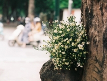 Dự báo thời tiết ngày 22/10: Hà Nội sắp đón đợt gió mùa Đông Bắc mới