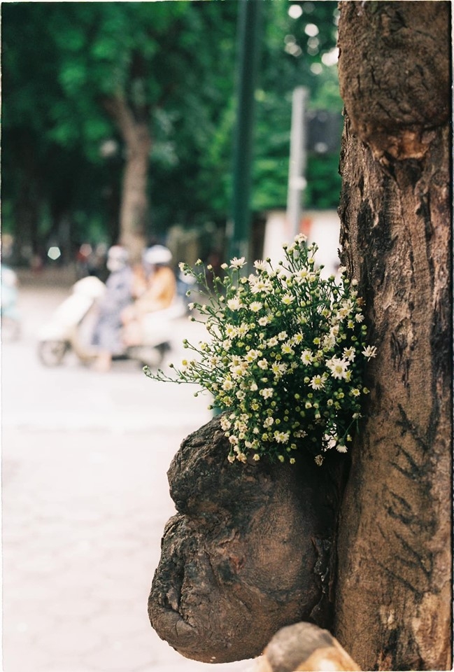 du bao thoi tiet ngay 2210 ha noi sap don dot gio mua dong bac moi