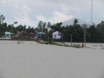 Bình Định, Phú Yên thiệt hại sau cơn bão số 5