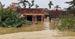 Mẹ đi nhận hàng cứu trợ, bé trai 8 tuổi ở nhà bị lũ cuốn trôi