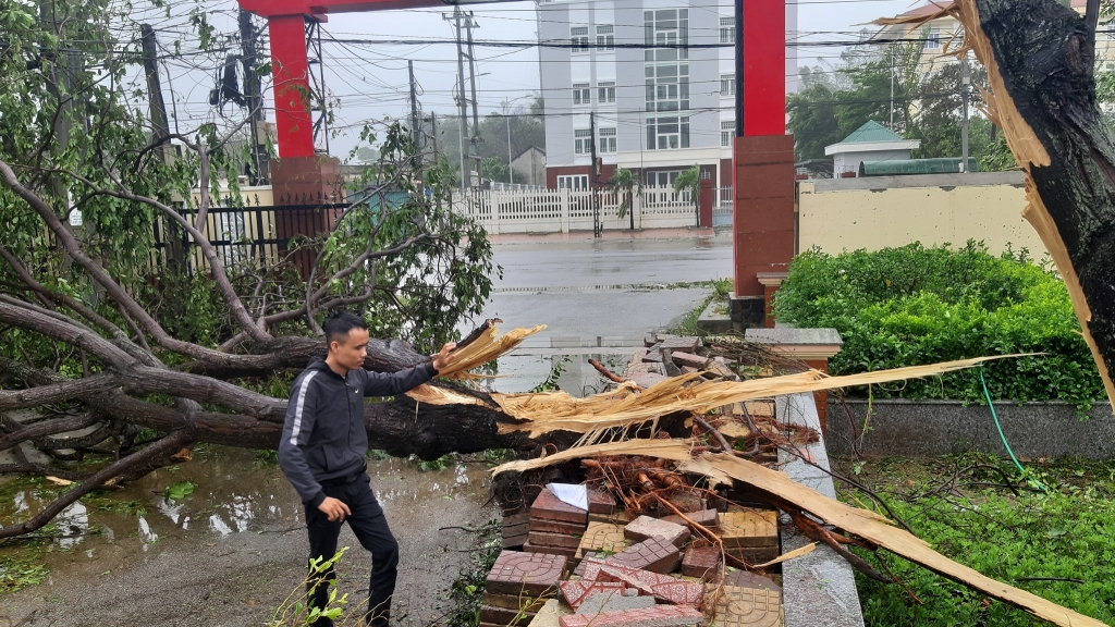 Quảng Ngãi: Tan hoang sau bão số 9, người dân chỉ biết xót xa