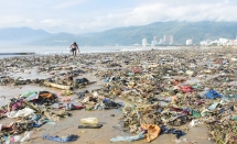 Bãi biển ngập rác sau bão số 5 ở Bình Định