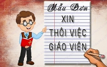 Giáo viên giỏi 15 năm xin nghỉ việc vì mức lương không đủ sống