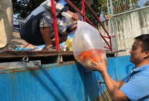 Tháo dỡ hệ thống thí điểm làm sạch sông Tô Lịch