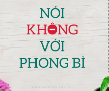 truong hoc keu goi 2011 noi khong voi phong bi