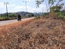 Dân kinh hãi trước cảnh dọn dẹp đường bằng... thuốc diệt cỏ