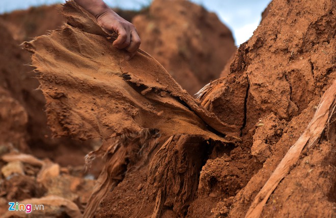 vec bi phe binh vi vong xoay cao toc 34500 ty i ach