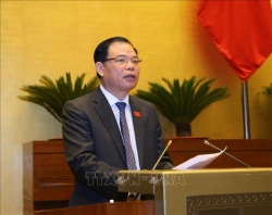 Chuyển mục đích sử dụng rừng phải đảm bảo phát triển KT-XH, phát triển môi trường bền vững