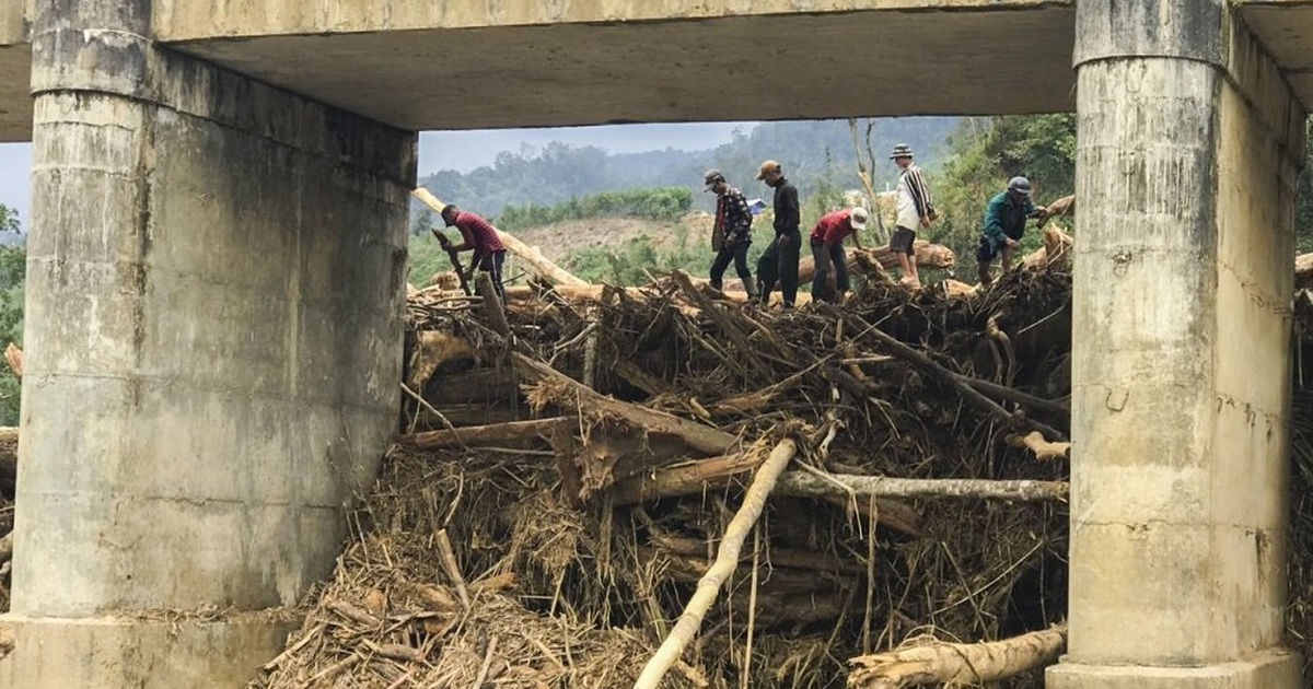 Lũ cuốn lượng gỗ "khổng lồ" bít kín cầu Sông Bua