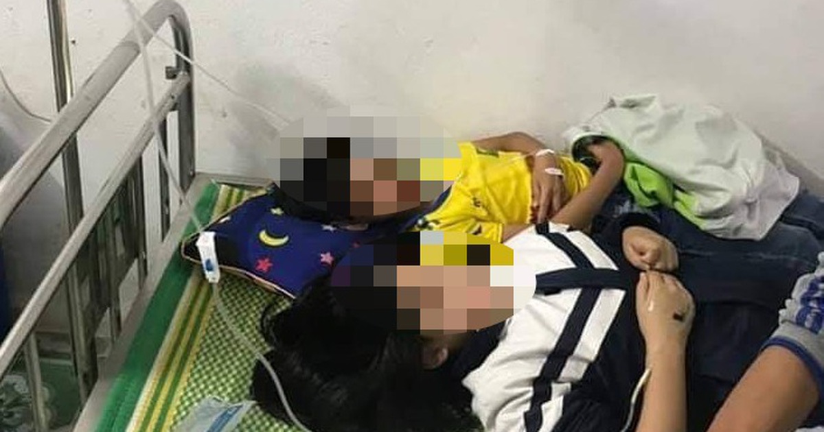 Nghệ An: Hàng chục học sinh bị ong đốt, phải nhập viện cấp cứu