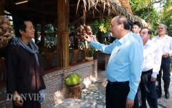 Khi hạt lúa, củ khoai, bông hoa dại cũng thành một sản phẩm du lịch