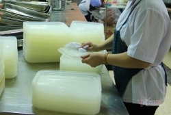 Kết luận có ấu trùng trong khay cơm của học sinh Trường Thực nghiệm