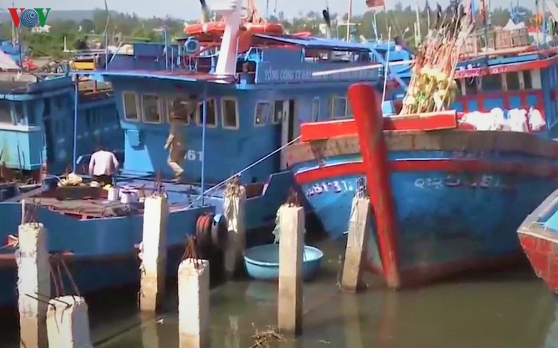 ngu dan bat an vi luong lach ra vao noi tranh tru bao bi thu hep