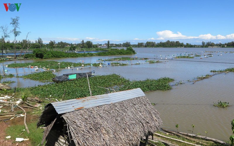ngu dan bat an vi luong lach ra vao noi tranh tru bao bi thu hep