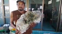 Nhặt rác trên bãi biển bất ngờ "vớ" được tảng đá trị giá hơn 15 tỷ đồng