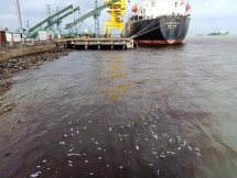 Công bố nguyên nhân khiến nước biển có màu nâu đậm bất thường ở Quảng Ngãi