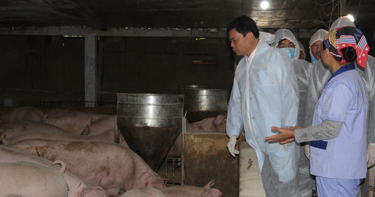 Bộ trưởng Nông nghiệp: Thực phẩm cho dịp Tết rất dồi dào