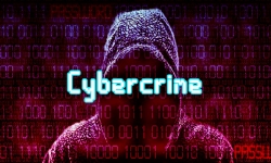 toi pham mang khien nen kinh te toan cau thiet hai hon 1000 ty usd