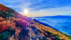 chinh phuc ta chi nhu thien duong may va hoa tim