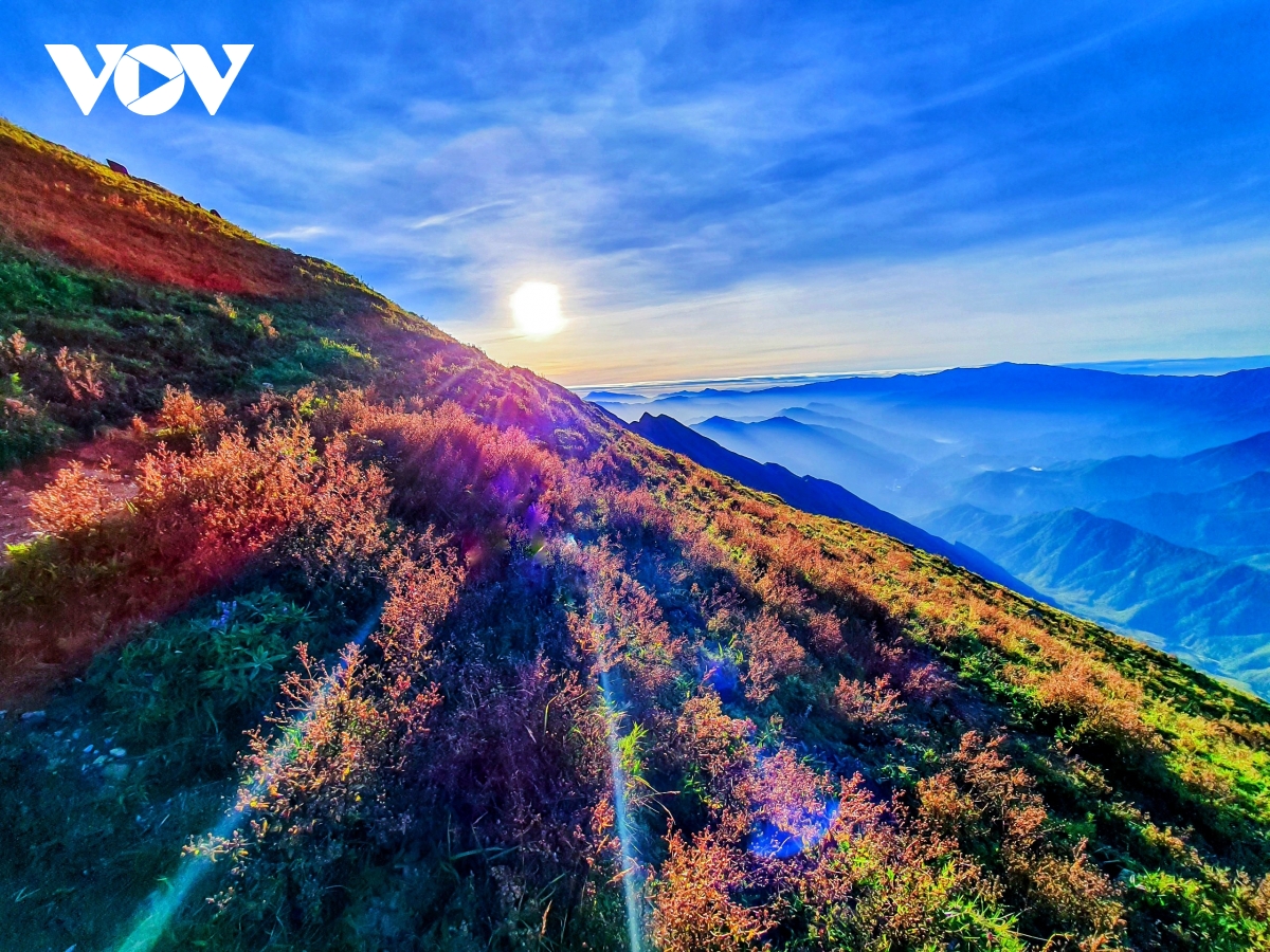 Chinh phục Tà Chì Nhù - thiên đường mây và hoa tím