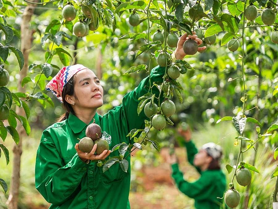 Kinh tế - xã hội tại huyện Thạch Thất đạt được một số thành tựu trong năm 2023