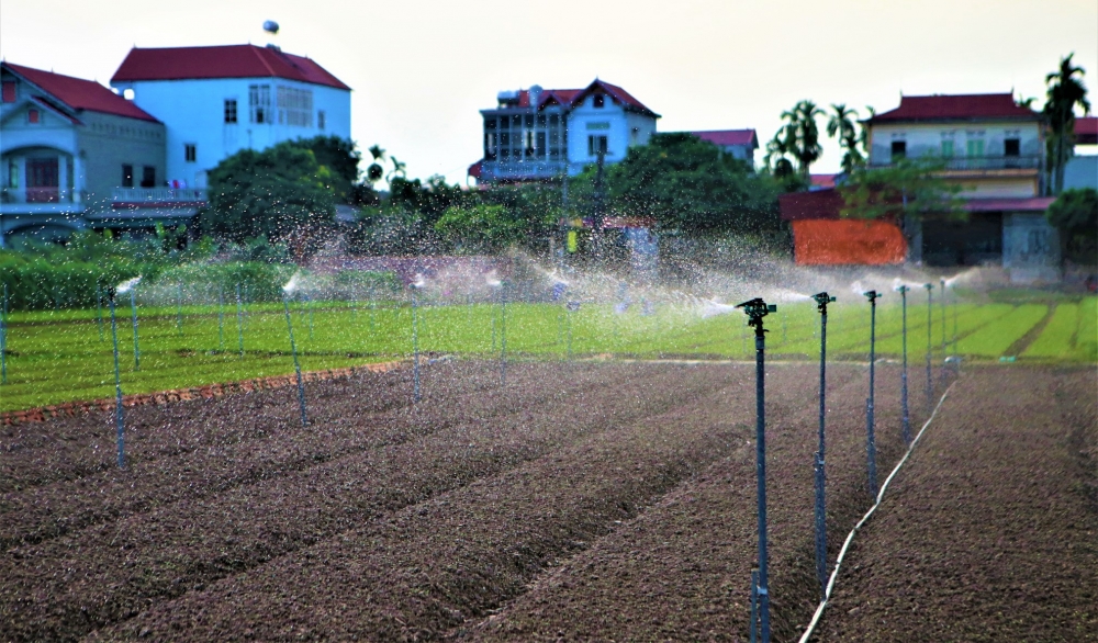 Nông dân huyện Mê Linh đẩy mạnh ứng dụng công nghệ trong sản xuất nông nghiệp