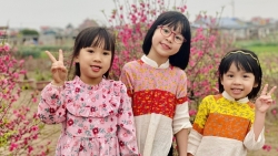 hoa dao lang nghe dong thai don mua xuan ve